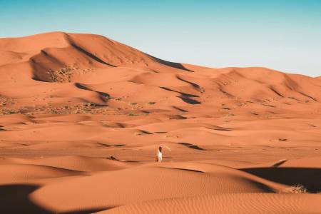 Al Badaa Star Residence Al Badaa Star Residence4